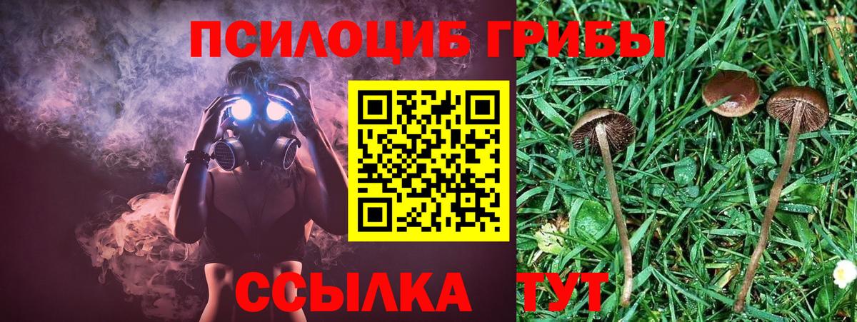 Псилоцибиновые грибы Psilocybe  Псилоцибиновые грибы мицелий  Партизанск  Вход с VPN 