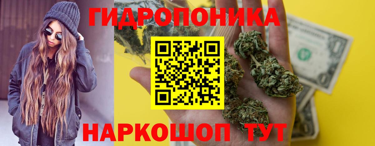 Бошки марихуана Amnesia Партизанск